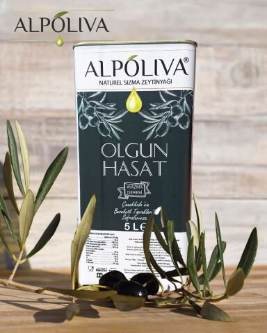 Olgun hasat naturel sızma zeytinyağı 5 litre | Ayazma Deresi bahçemizden | Alpoliva